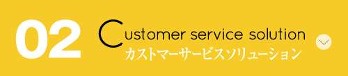 02 Customer service solution カストマーサービスソリューション