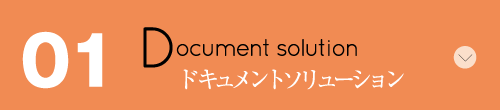 01 Document solution ドキュメントソリューション