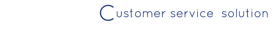 02 Customer service solution